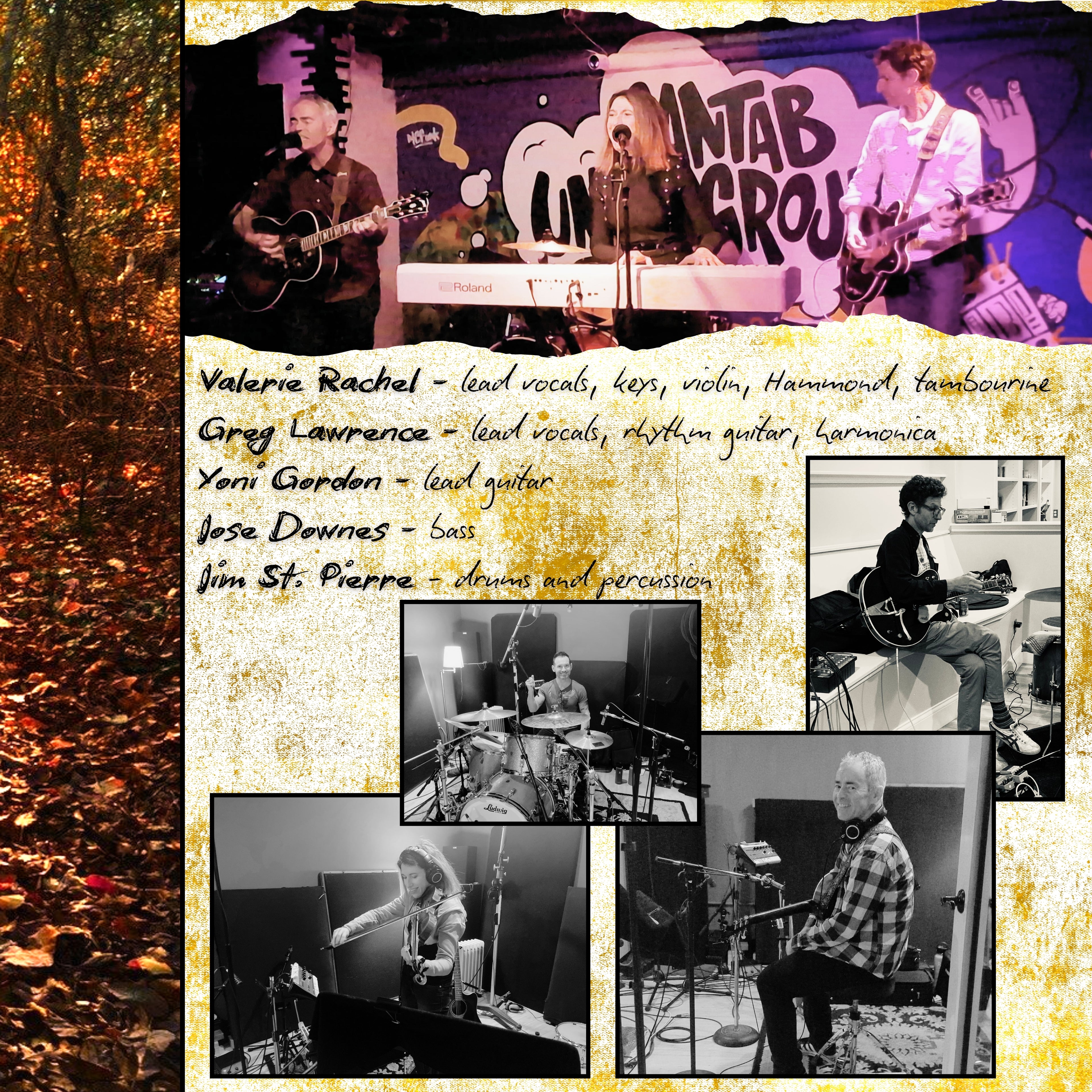 Wayward Vine — The Fall (Compact Disc)