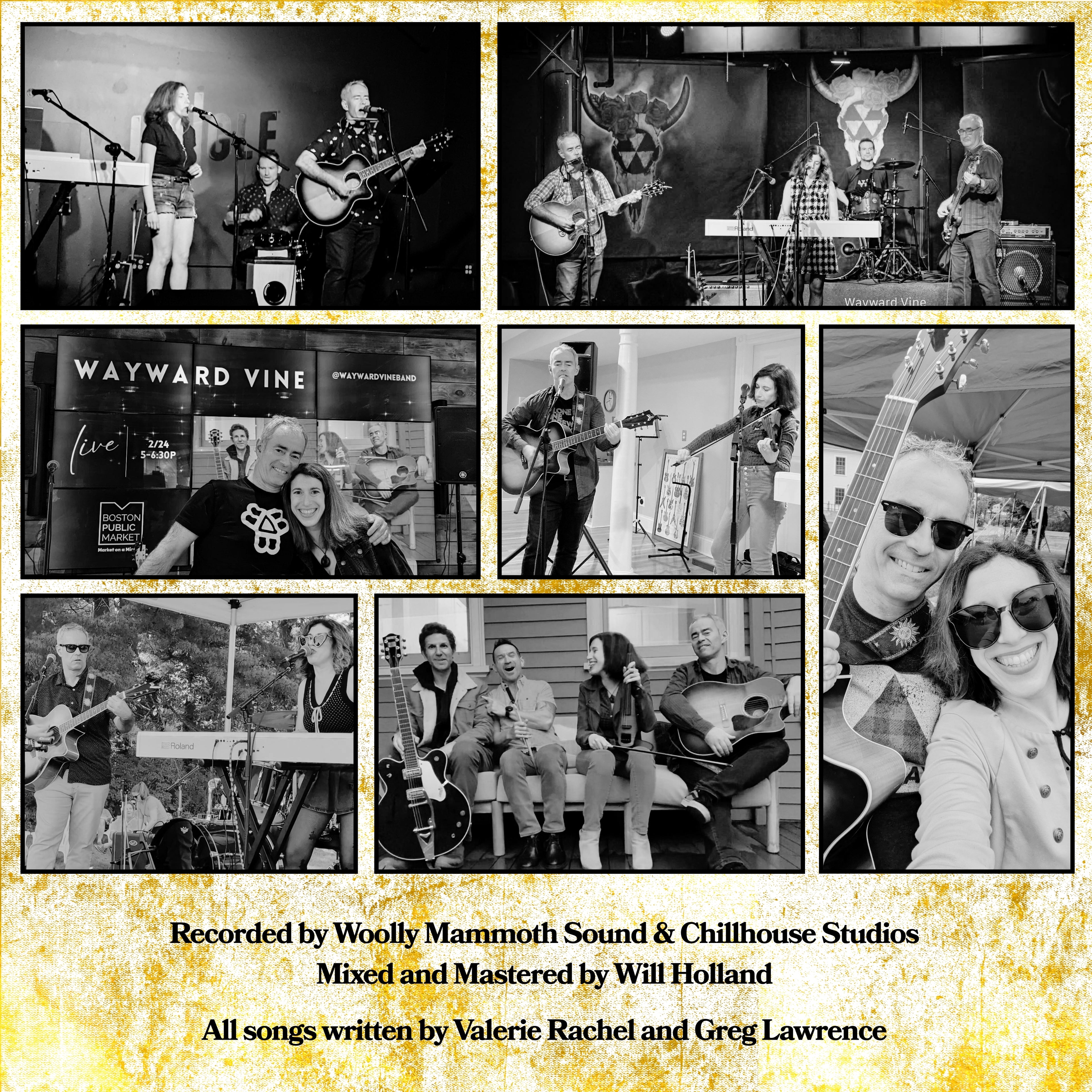 Wayward Vine — The Fall (Compact Disc)