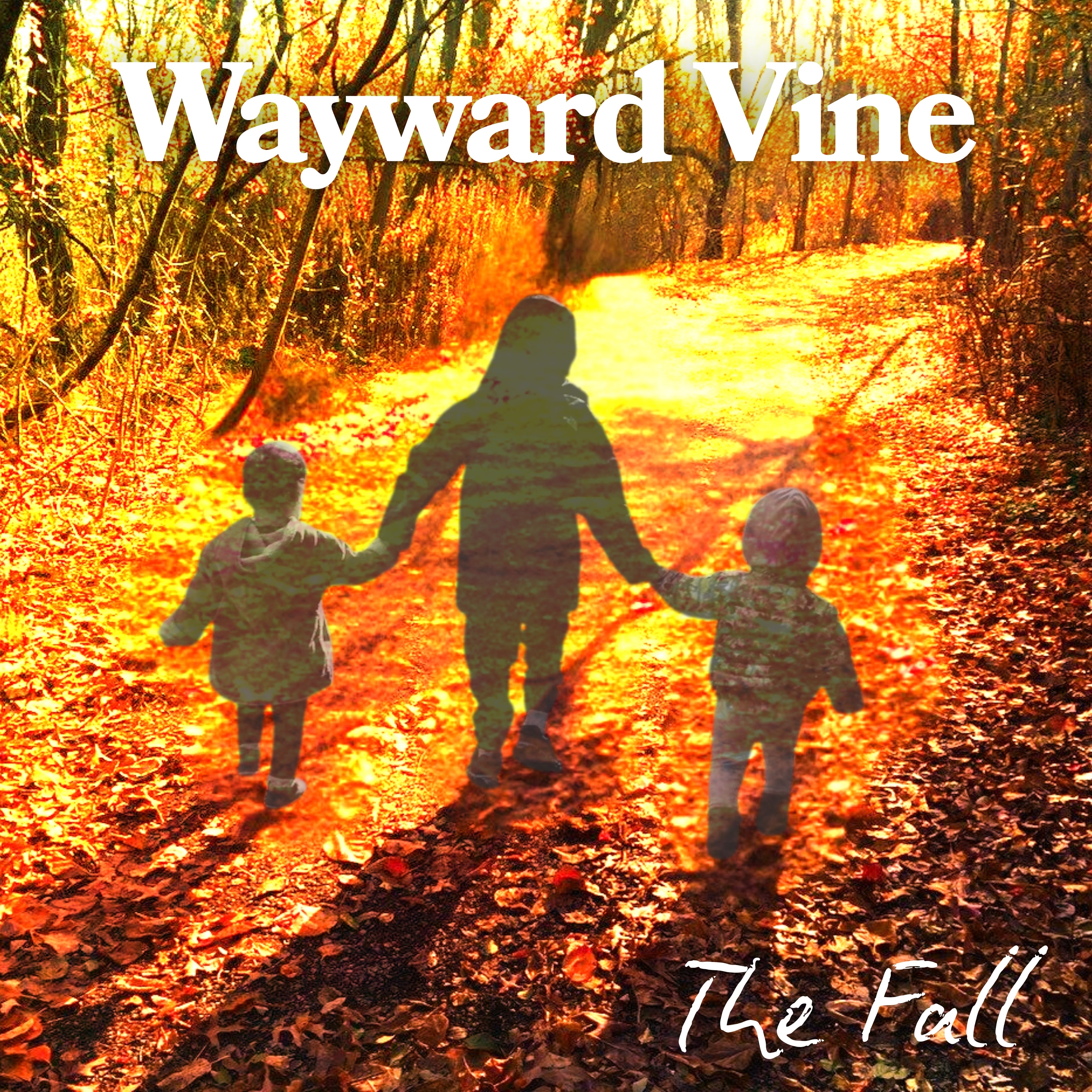 Wayward Vine — The Fall (Compact Disc)